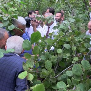 arsin fosa findigi hasadi basladi vKaiu4pq