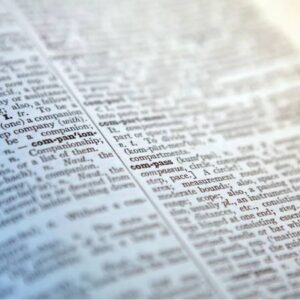 cambridge sozlugune bu yil 6 binden fazla kelime eklendi skibidi tradwife delulu broligarchy ZZODCWe8