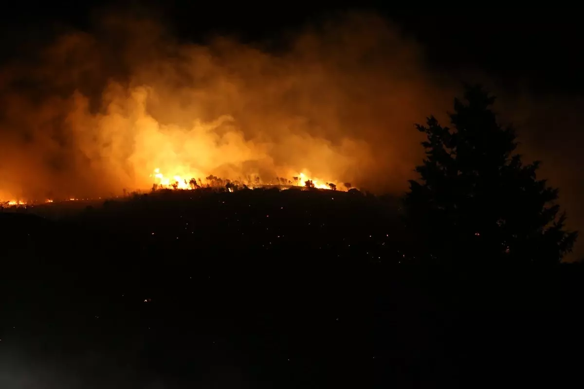 bursada orman yangini kontrol altinda 2ByPfmlp