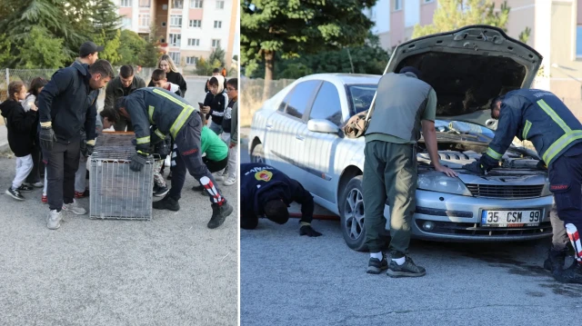 kopeklerden kacip otomobilin kaputuna sigindi uG4LhSWs