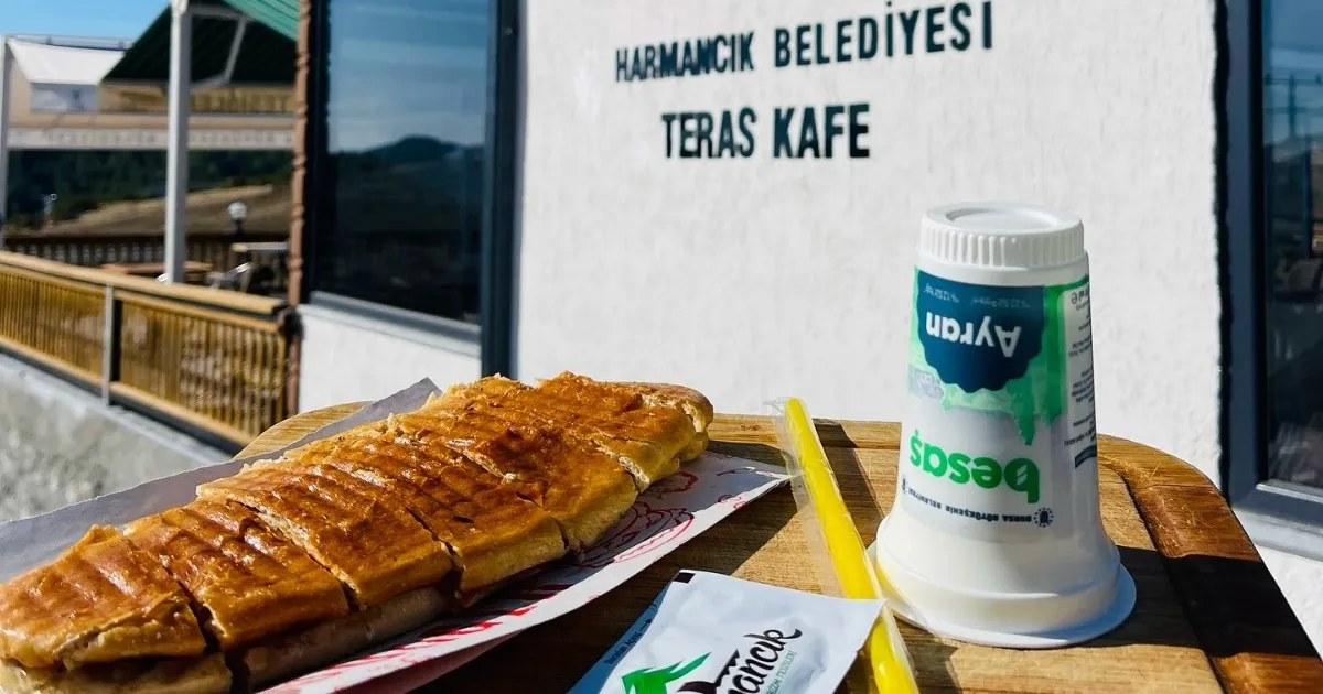 bursa harmancikta sosyal belediyecilik farki UcK2Us7V