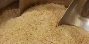 pirincin-ustunde-kedi-diskisi-gorulen-markete-binlerce-lira-ceza-kesildi-Ui5fNC65