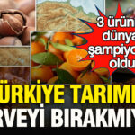 Türkiye Tarımda Dünyaya Damga Vuruyor: Üç Ürünle Lider Konumda