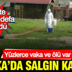 Afrika’da Ebola Salgını Yeniden Baş Gösterdi: Yüzlerce Vaka ve Ölüm Kaydedildi