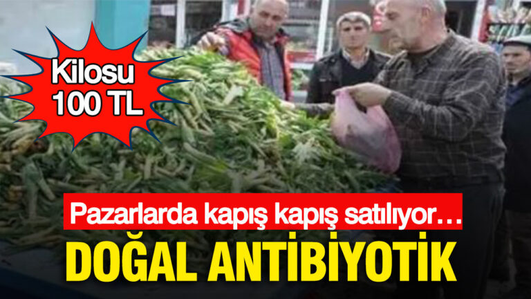 dogal-antibiyotik-pazarlarda-kapis-kapis-satiliyor-kilosu-100-tl-RF8xRb9M