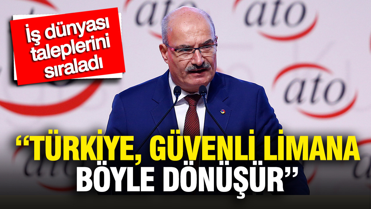 is-dunyasi-taleplerini-siraladi-turkiye-guvenli-limana-boyle-donusur-pVgBxNbu