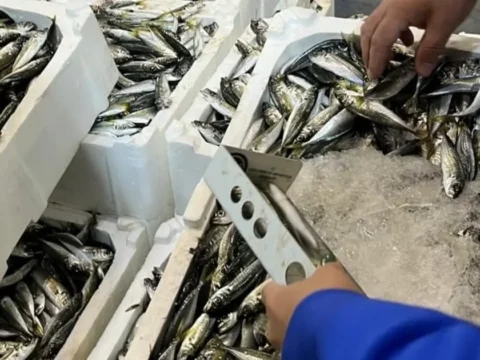 Izmir il tarimdan su urunlerine siki denetim GDEDCdxm